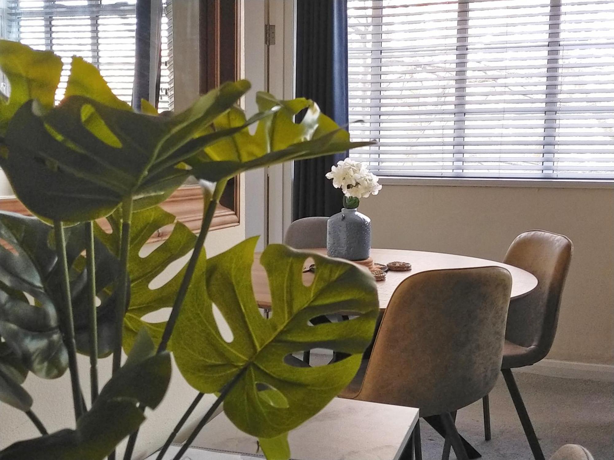 Spacious Apartment - Double And Sofa Bed - Wonderful Pavilion Views Brighton Eksteriør billede